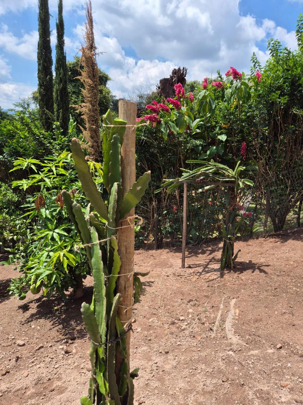 Pousada Verde Villas Brumadinho Buitenkant foto